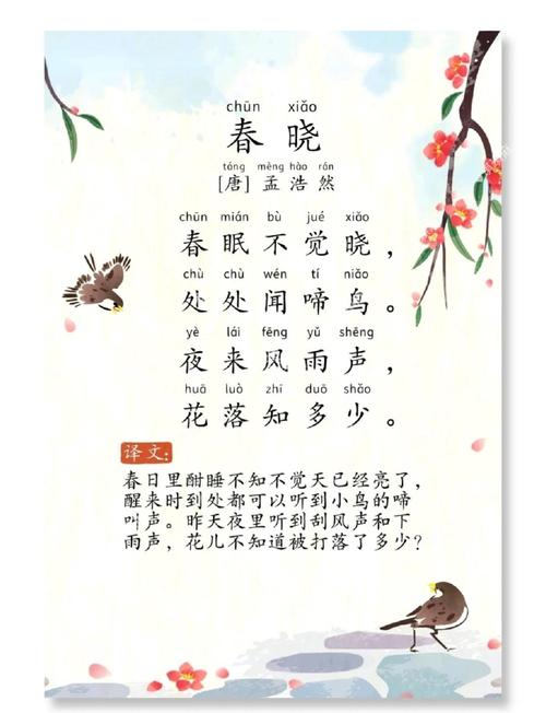 春晓 古诗朗诵视频2026