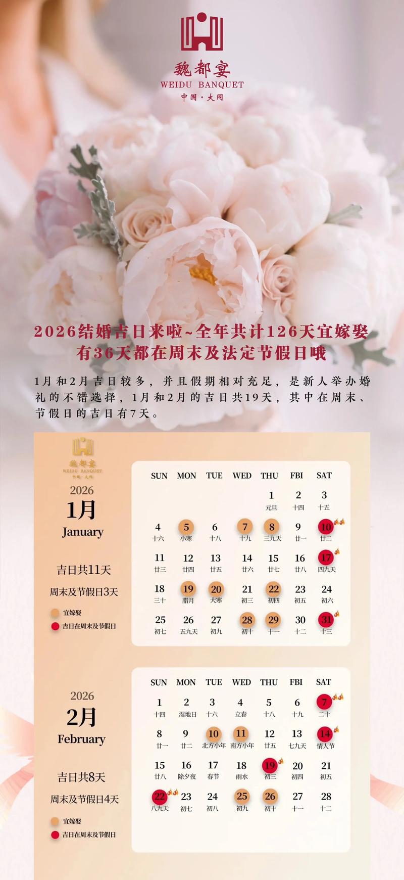 好好的日在线视频2026