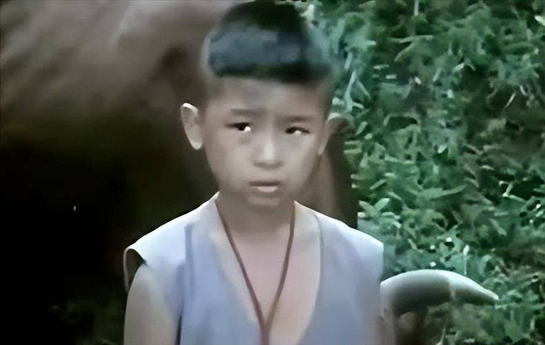 王二小 视频2026