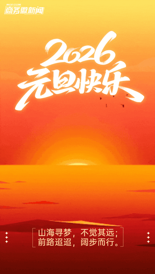 动态图视频2026