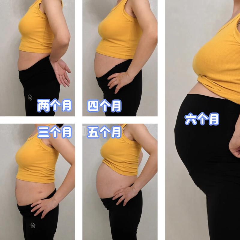 怀孕肚子变化视频2026