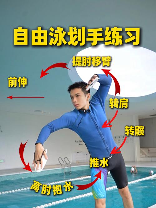 初学游泳视频教程视频2026