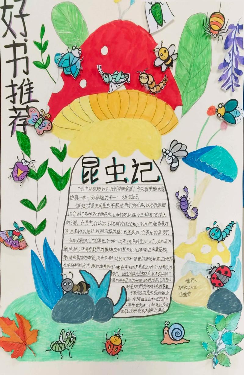 好书推荐视频2026