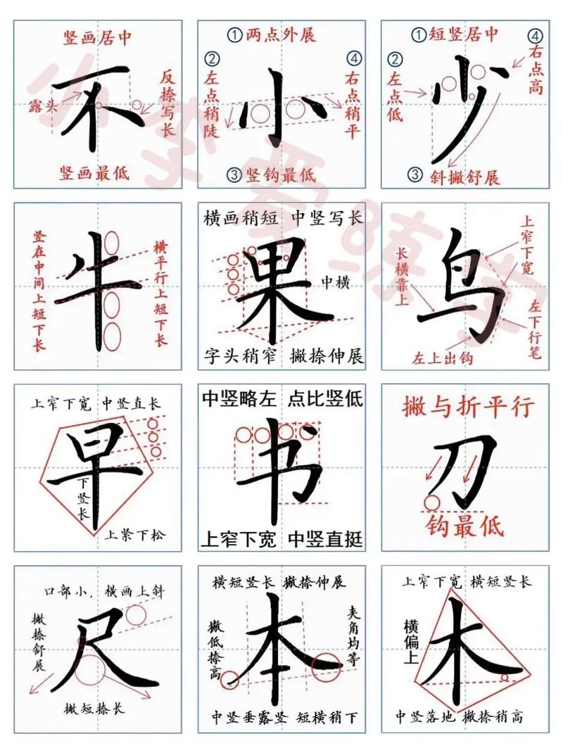 练毛笔字入门视频2026