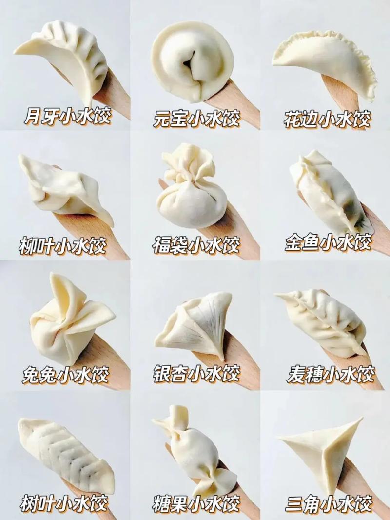 饺子包法大全视频2026