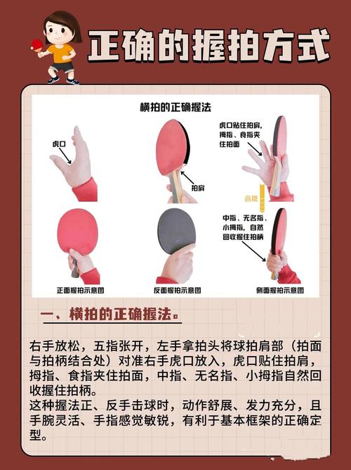 乒乓球直拍教学视频2026