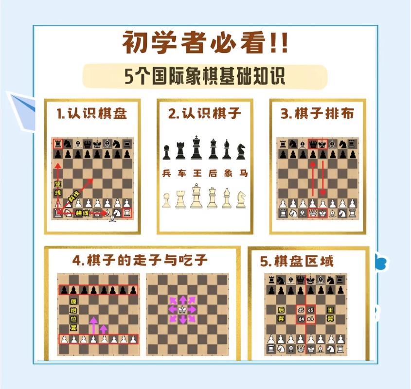 国际象棋入门视频2026
