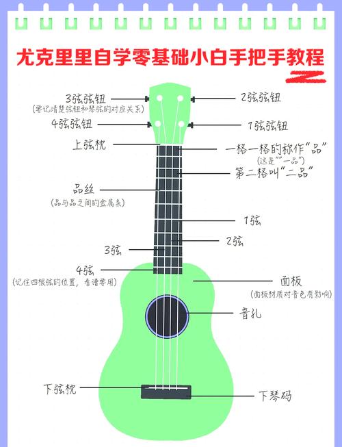 尤克里里入门教程视频2026