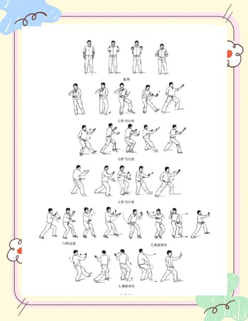 太极拳24式视频2026