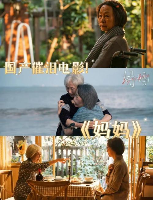 妈妈的视频2026