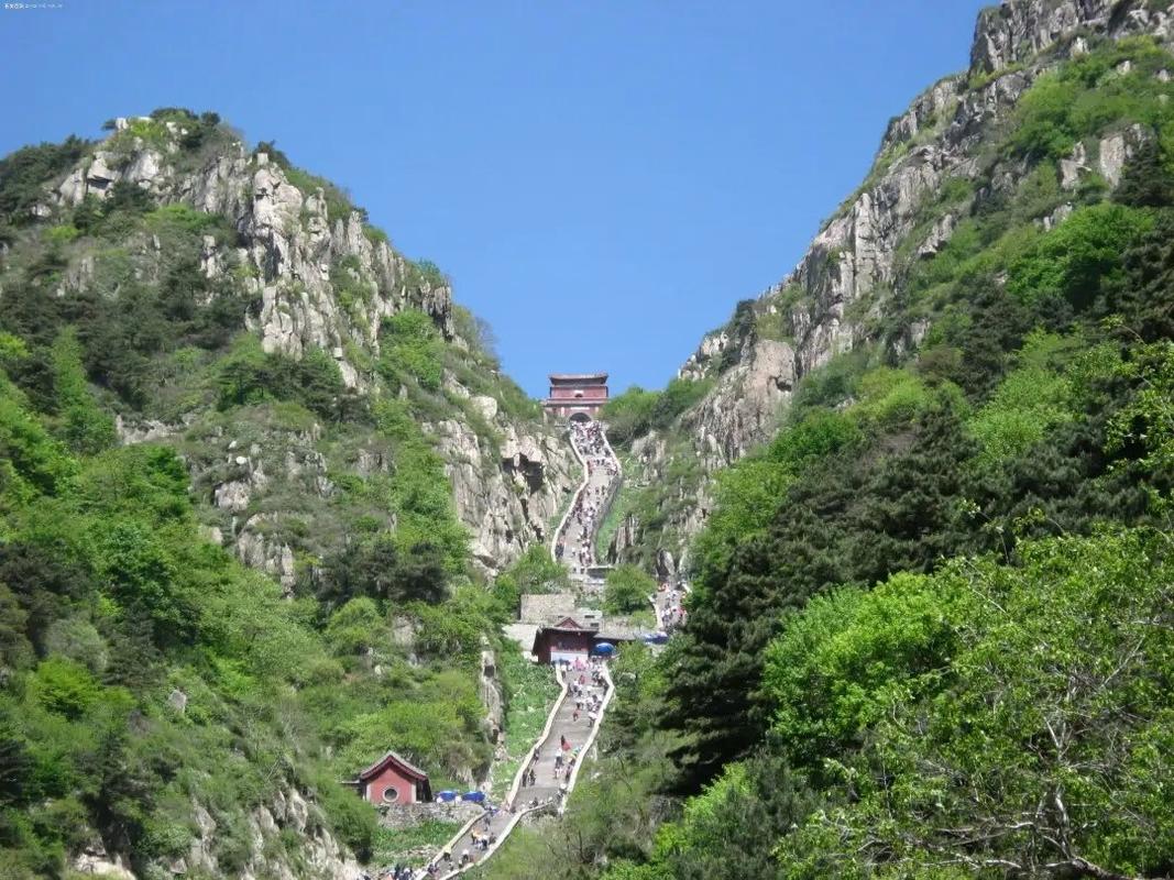 泰山视频2026