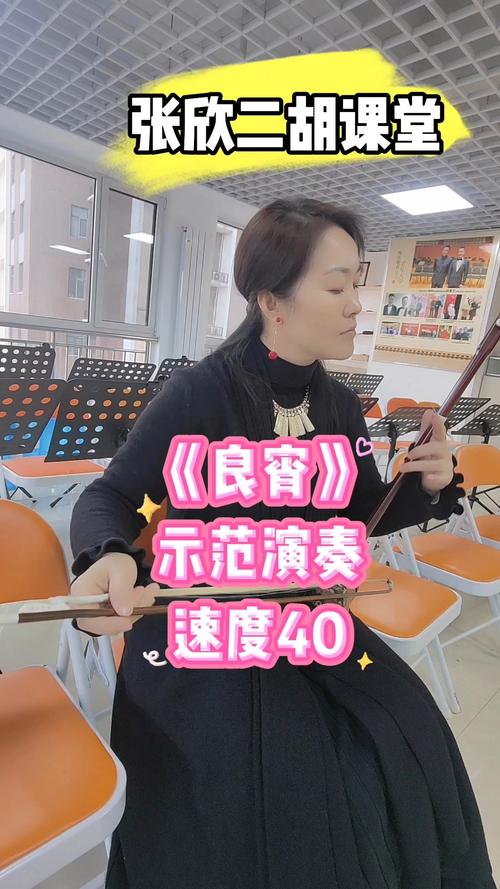 二胡良宵教学视频2026