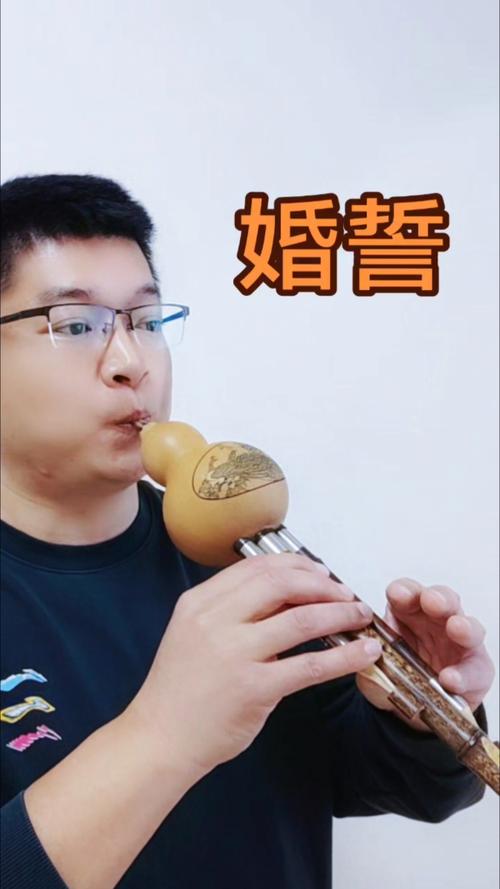 婚誓葫芦丝教学视频2026