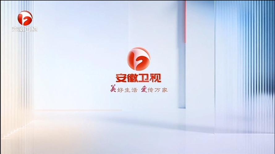 安徽卫视频道2026
