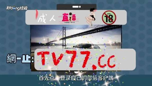 茄子视频网2026
