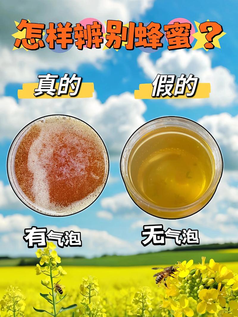 真假蜂蜜的鉴别方法视频2026