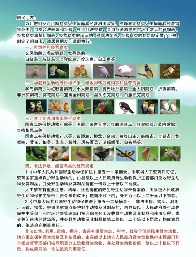 保护动物视频2026