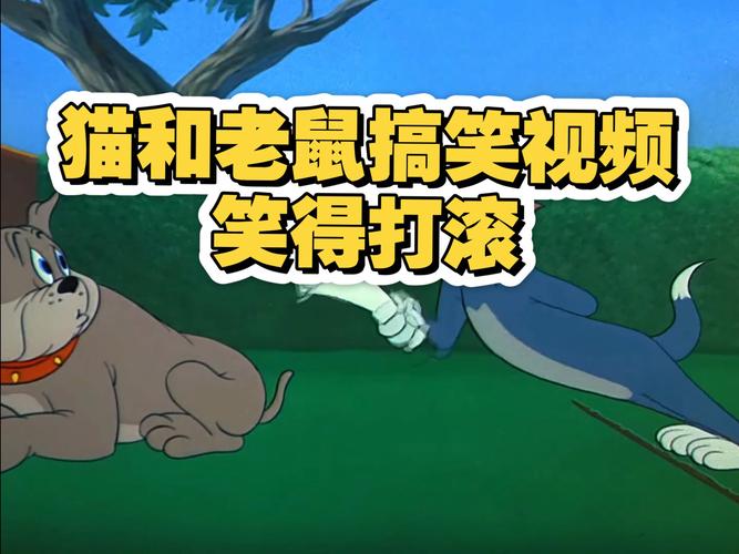 猫和老鼠搞笑视频2026