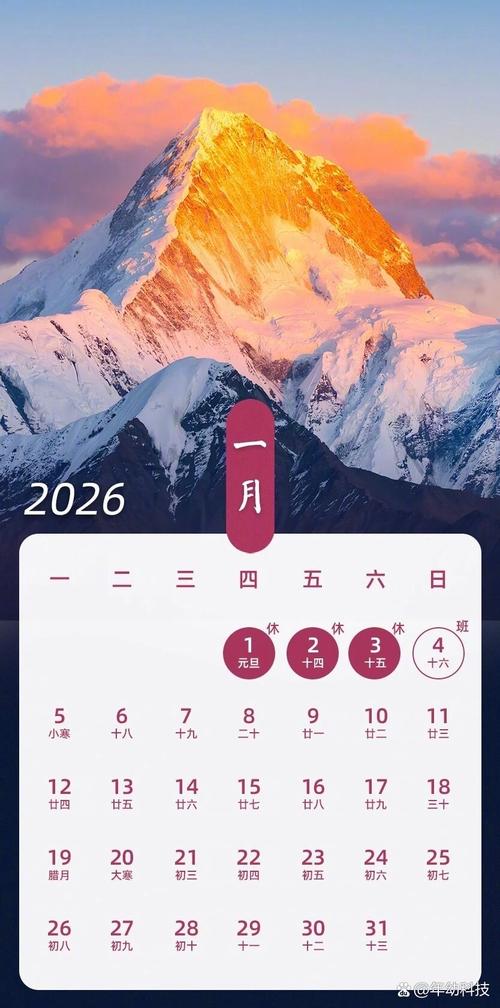 日一日视频2026