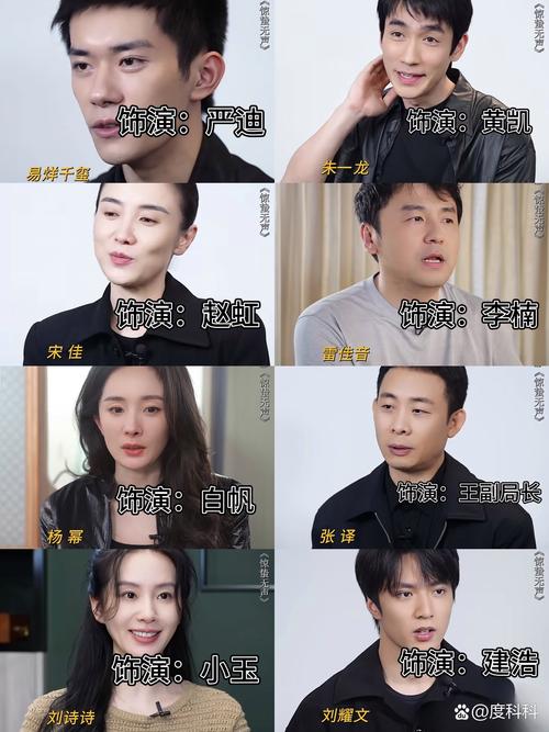 无声视频2026