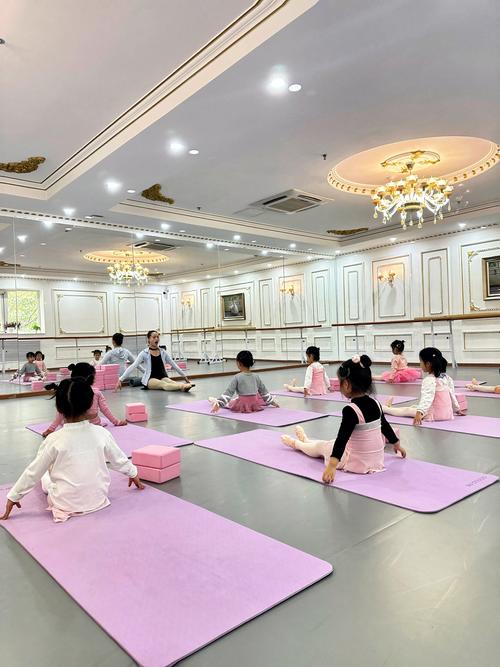 跳舞视频教学2026