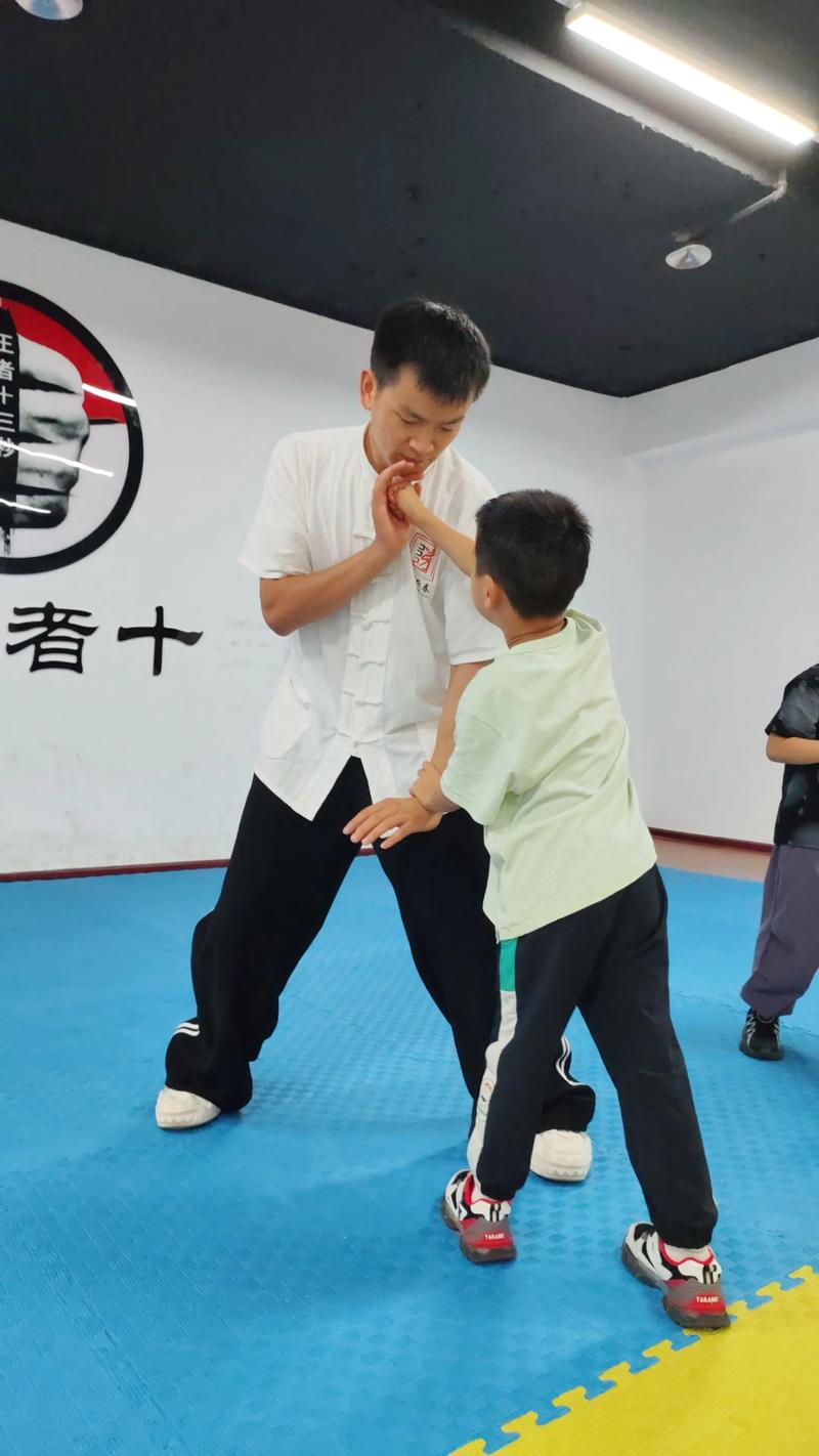 咏春视频教学2026