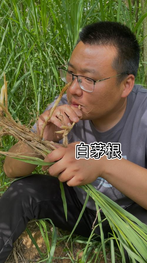草根视频2026