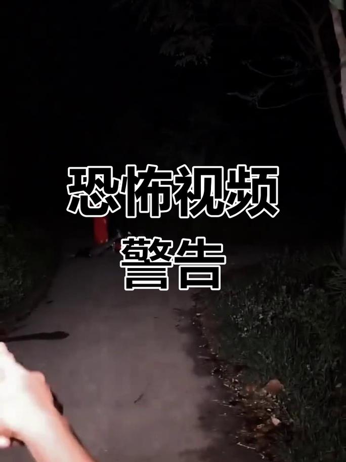 怕怕小视频2026