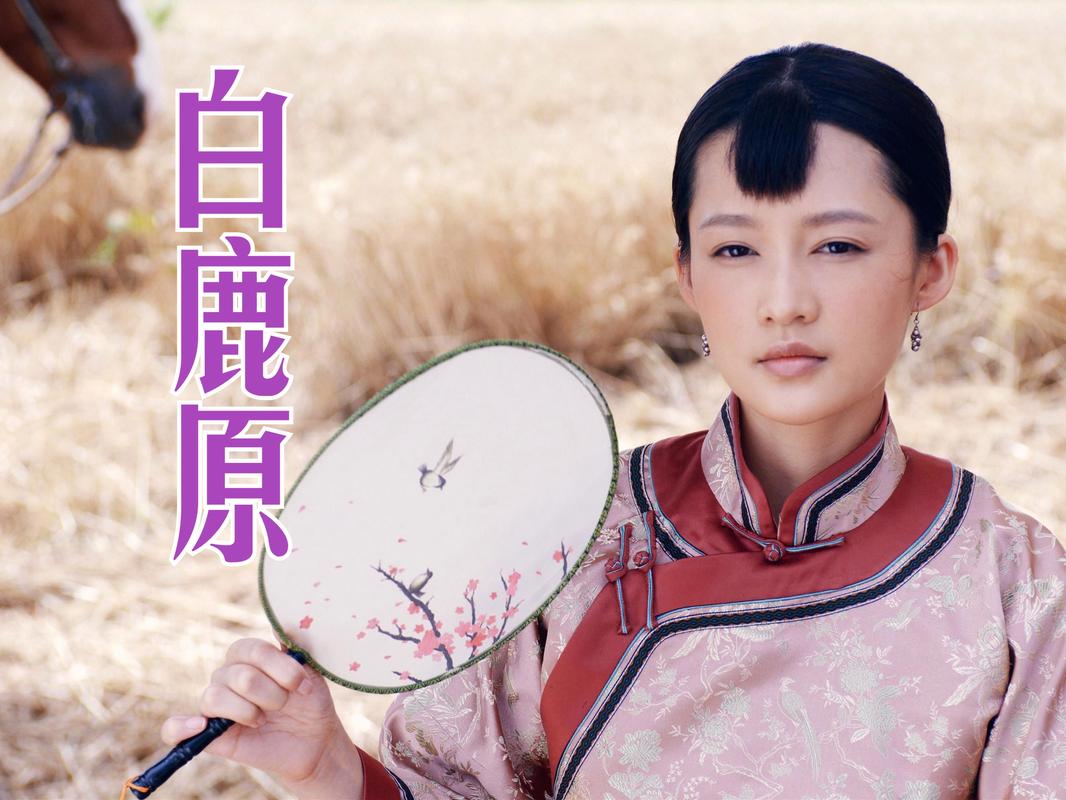 白鹿原 视频2026