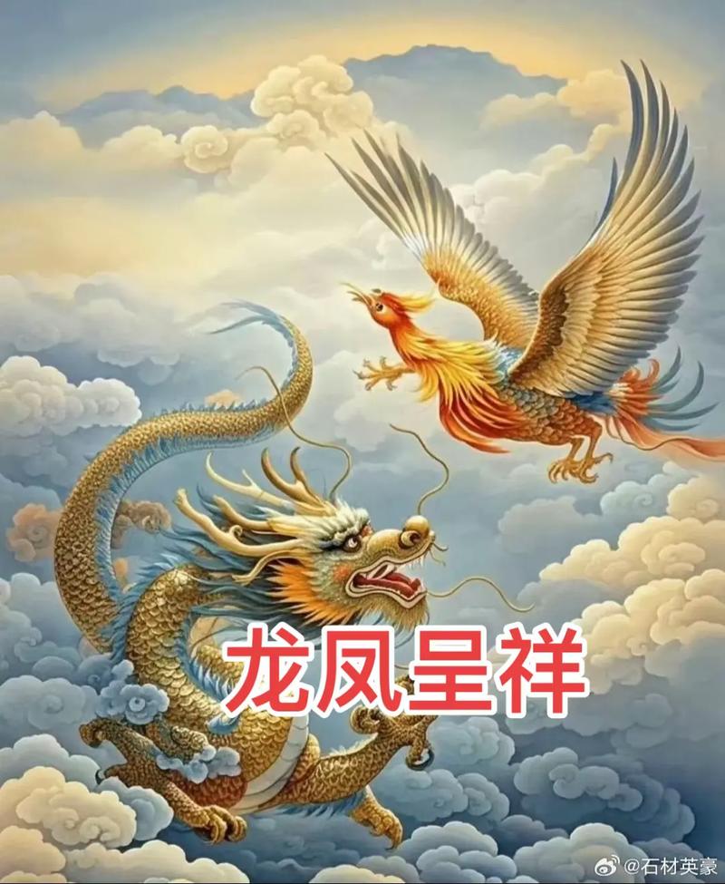 龙凤视频2026