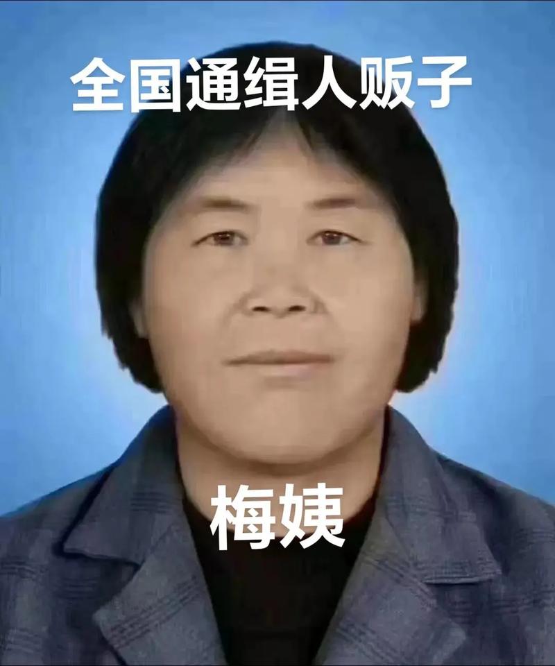 梅姨视频2026