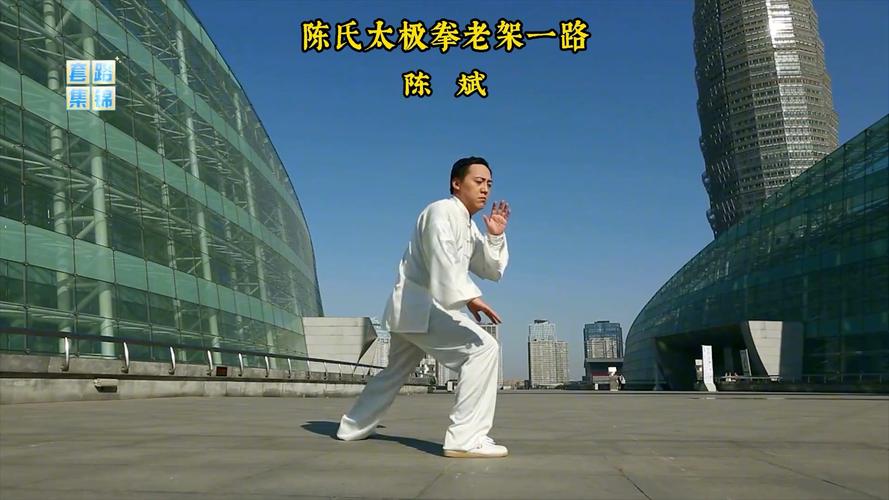 陈氏太极拳老架一路教学视频2026