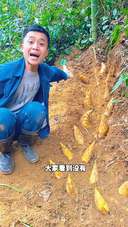 挖笋视频2026