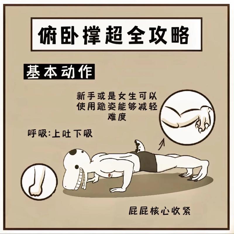 俯卧撑教学视频2026