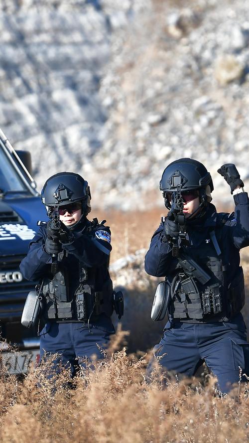 特警视频2026
