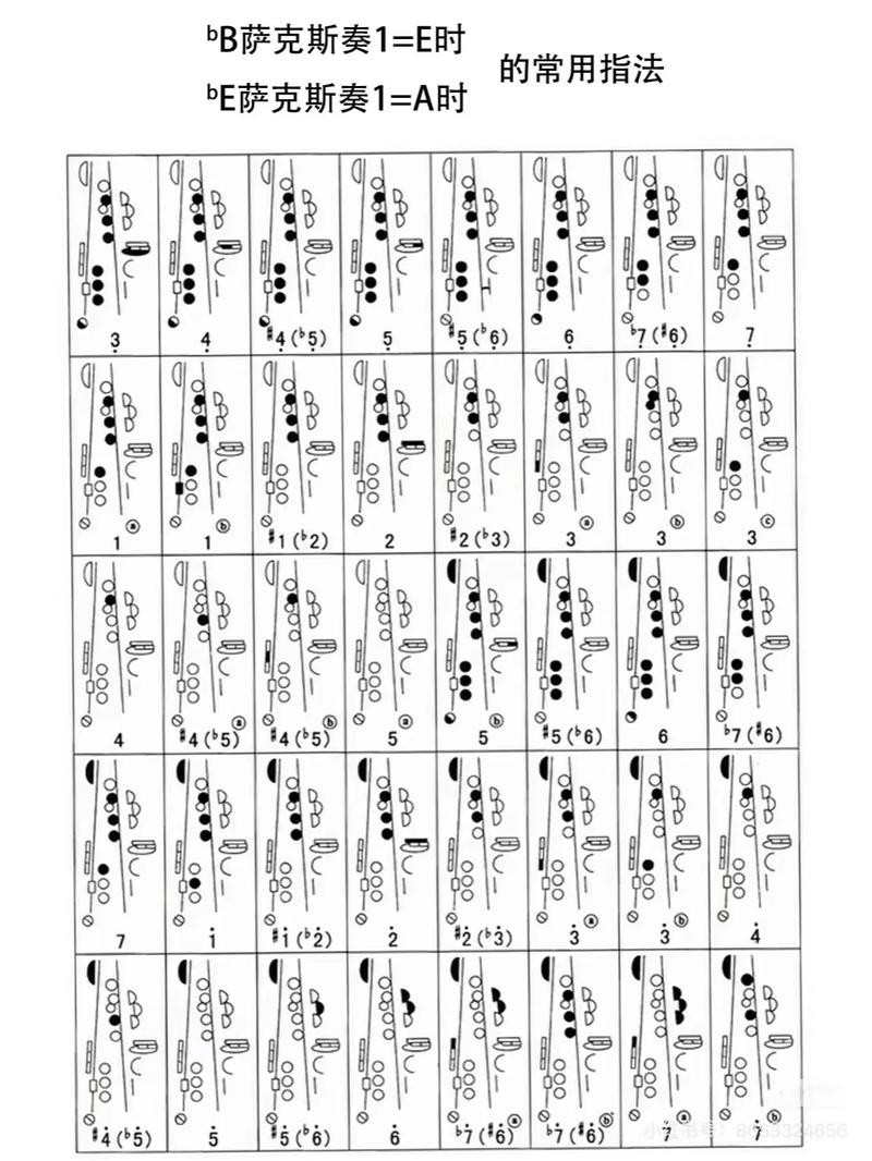 萨克斯教学入门视频2026