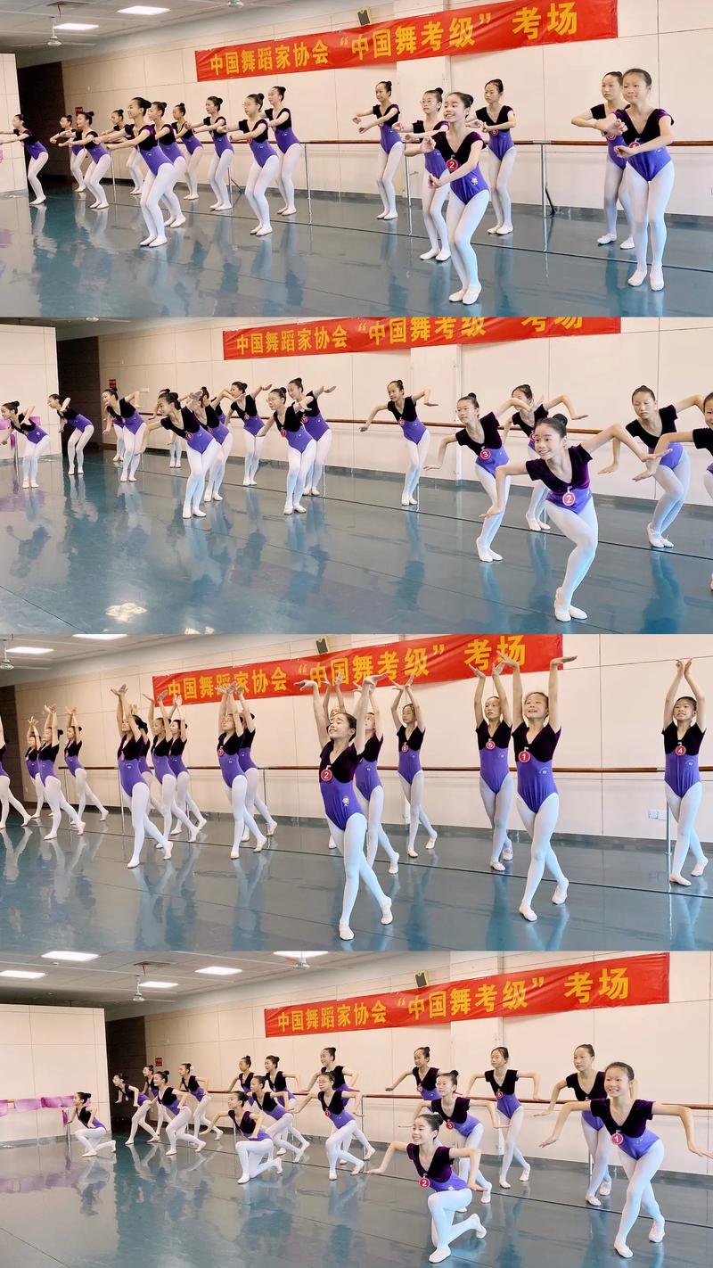 九级舞蹈考级视频大全2026