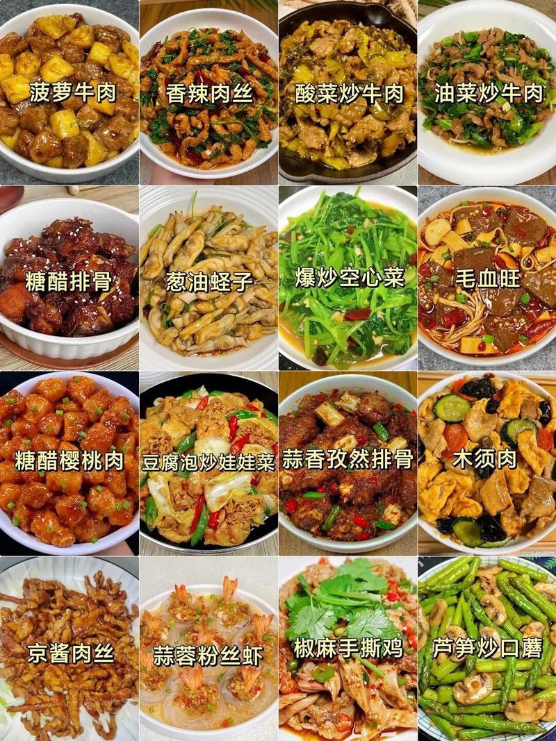 视频菜谱2026