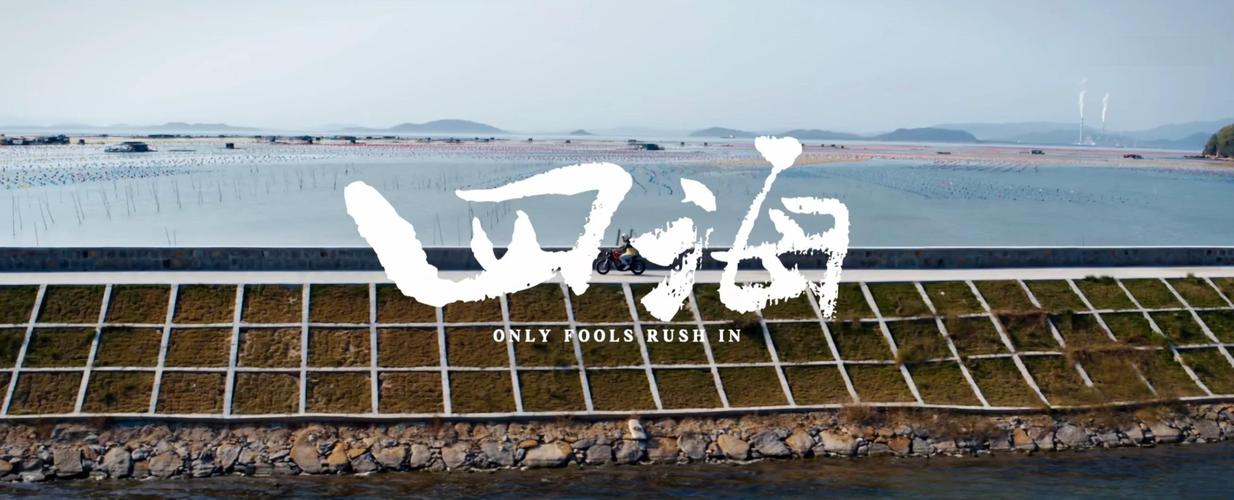 四海视频2026