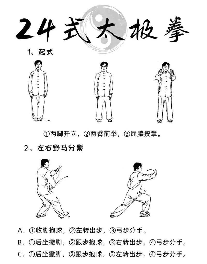 简化二十四式太极拳视频2026