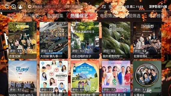 菠萝网视频2026