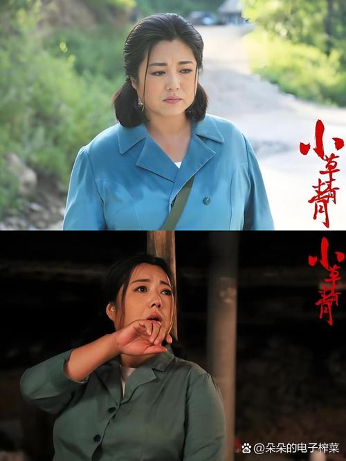 草青青在线视频2026