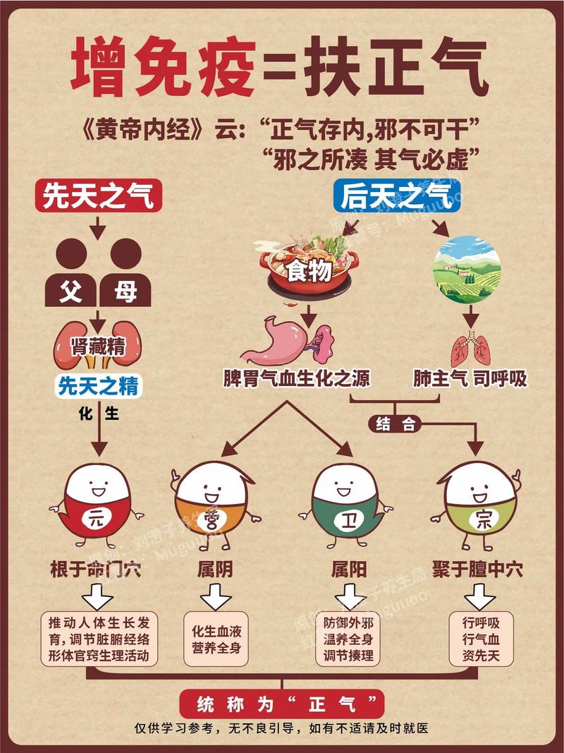 内经视频2026