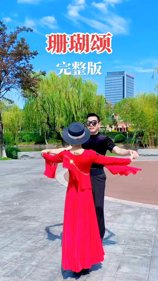 交谊舞视频大全2026