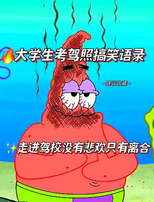 驾照搞笑视频2026
