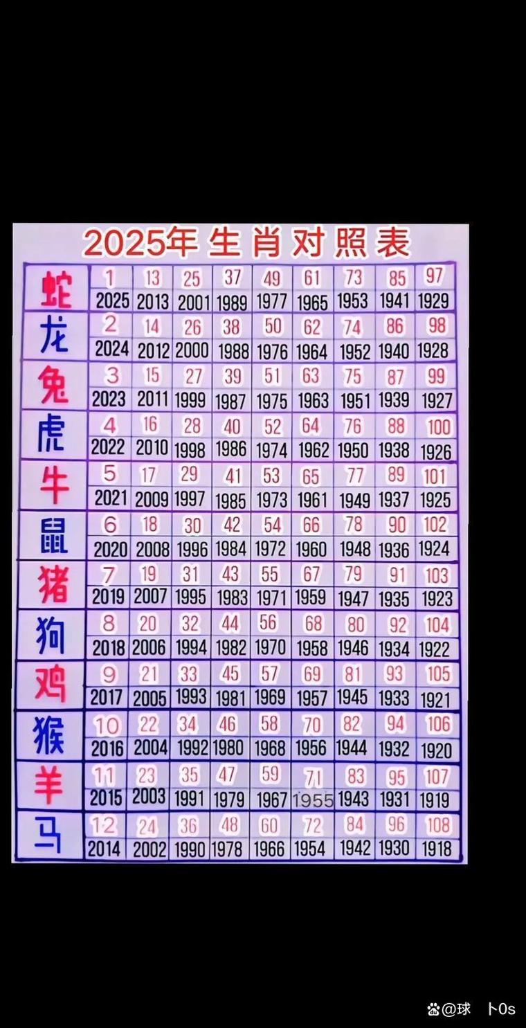 十二生肖视频2026