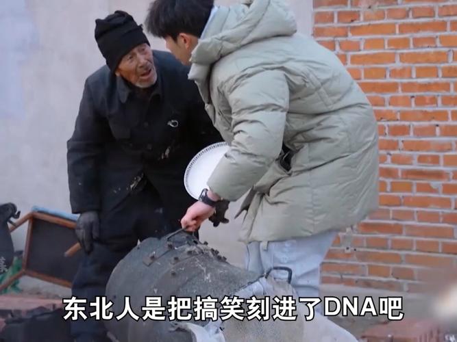 东北搞笑视频2026