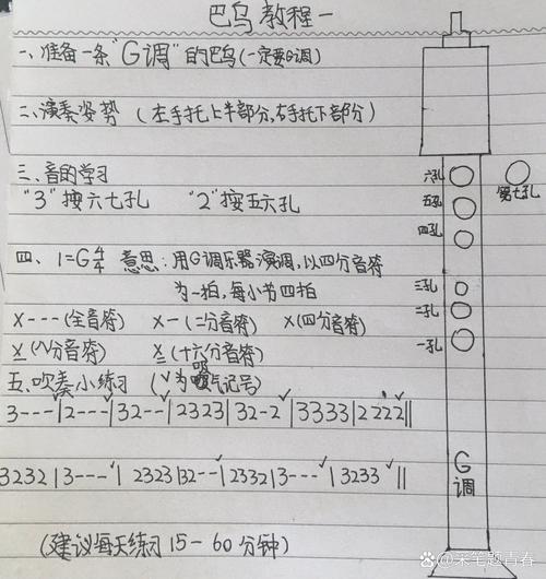 巴乌入门教学视频2026