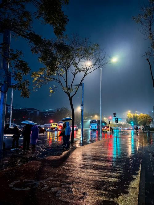 下雨天的视频2026