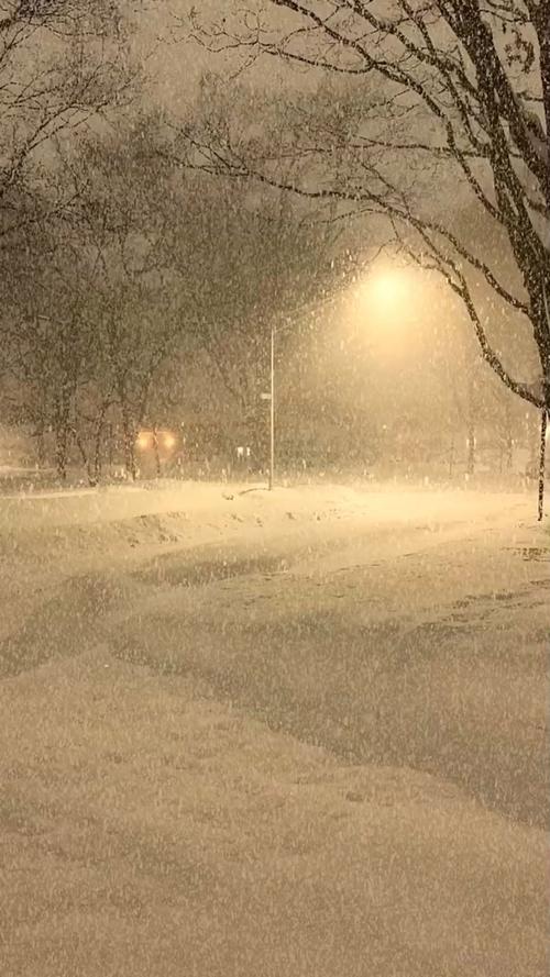 下雪的视频2026